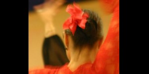 © Arte Flamenco