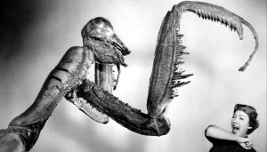 insecte-peur