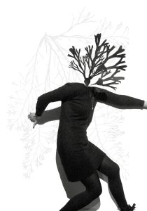 Restitution – FeuForêt(s) #5