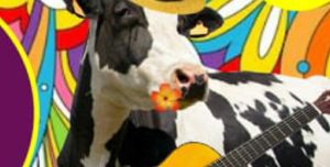 Soiree bouff&rsquo;acoustik au chez nous