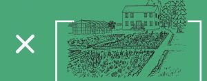 Visite focus : Le jardin botanique