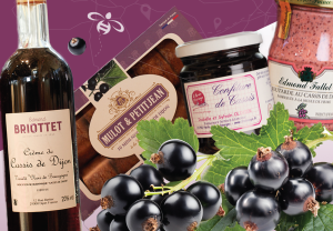 Week-end Cassis – Parcours gourmand