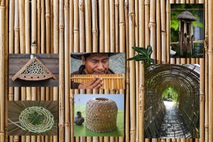 Experimentarium Nature – Réalisations DIY en Bambou