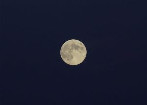Soirée « Sous la pleine Lune »