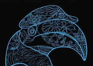 Open air électro – Kalaø x le K