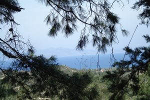 Rencontre – Grèce poétique