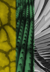 Tribu du monde DJ set : folktronica – dowtempo – techno