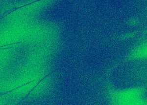 Vert Malt – Vernissage de l&rsquo;exposition Un Singe en Hiver