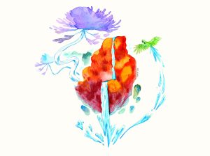 Concert – Malacura à l&rsquo;Emohd, musique chilienne.