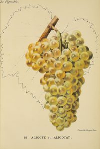 Une heure avec le Patrimoine : les Climats dans les collections de la bibliothèque