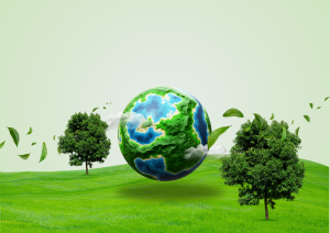 Eco-Logique :  Testez vos connaissances !