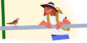 Nature secrète de nos rues