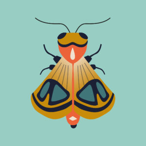 La rentrée du Théâtre Universitaire de Dijon