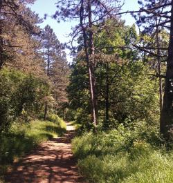 Balade nature