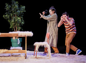 Festival A pas contés – Spectacle « Les hamsters n’existent pas »