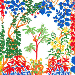 Visite mensuelle du Quartier Libre des Lentillères