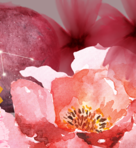 Astro Cocoon, cercle d&rsquo;astrologie au Shanti