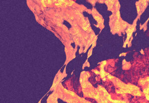 Atom présente Concilium – Merov&rsquo;, Cymka, Random Item & Emilie