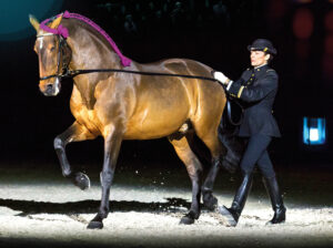 Spectacle – Le Cadre Noir de Saumur
