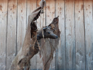 Fontaine-lès-Dijon – Exposition de sculptures et tableaux de Xavier Decloux, « Bestioles »
