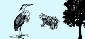 Chantier nature – Aider la source à retrouver son chemin