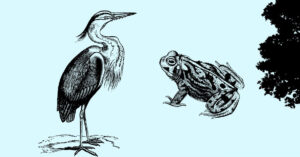 Chantier nature : aider la source à retrouver son chemin