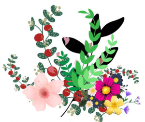 Marché aux plantes et à la biodoversité
