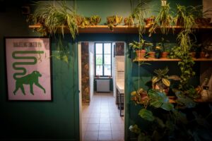 Open Bouture #3