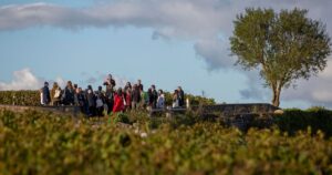 Rencontre avec l’association des Climats du vignoble de Bourgogne : histoire et missions