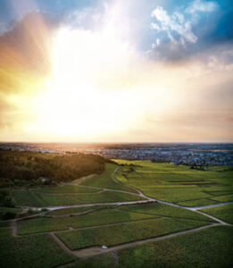 Conférence : La construction de la renommée mondiale des vins de Bourgogne : les marchés au vin de Dijon