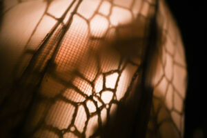 Ouverture de résidence | Apéro-sonore — Rencontre avec la Cie Melampo