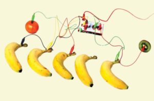 Atelier de quartier : Makey makey