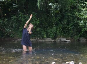Entre cour et jardins – Urtica – Maureen Nass