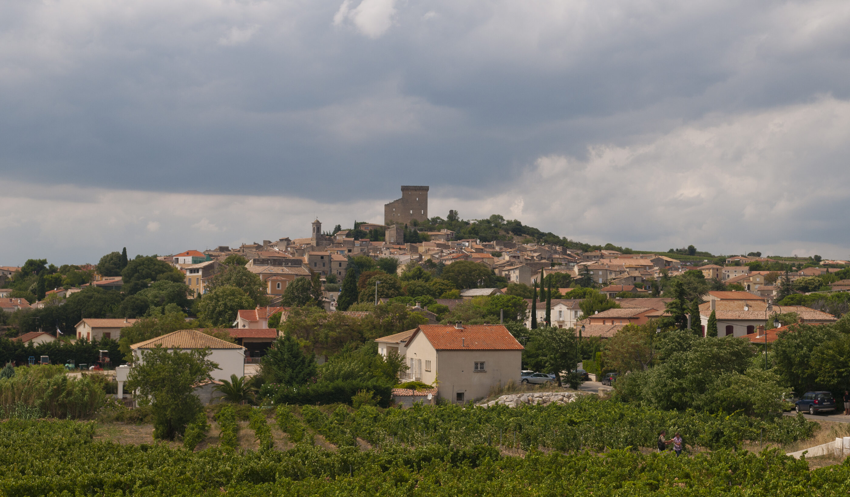 Masterclass Châteauneuf du Pape