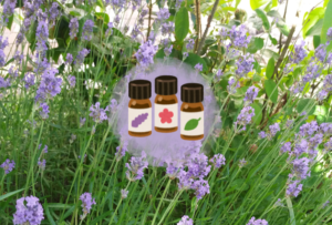 Conférence – Émotions et huiles essentielles