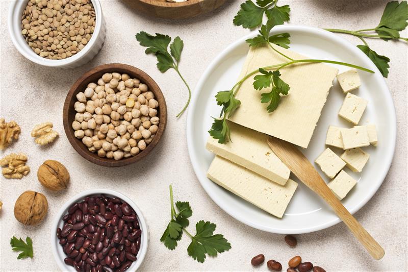 Atelier alimentation : zoom sur les protéines alternatives