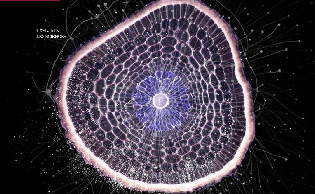 Expérimentarium, explorez les sciences !