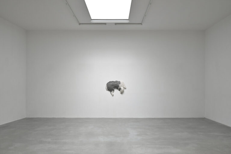Exposition « Forza cani » de Diego Marcon