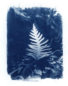 Atelier Cyanotype – La Multiplothèque