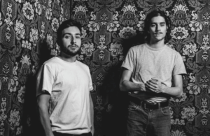 Concert – Blue Orchid