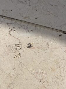 Festival Art Danse – Les réserves sans réserves