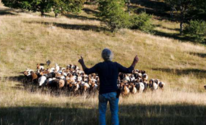 Projection « Transmettre » de Jérôme Zindy + table ronde sur la loi Duplomb