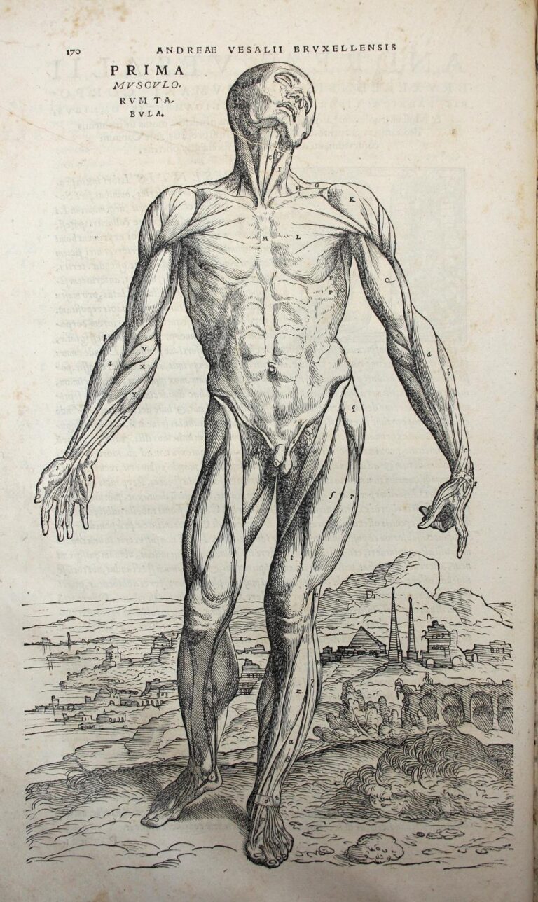 Trente minutes avec… les médecins de la Renaissance