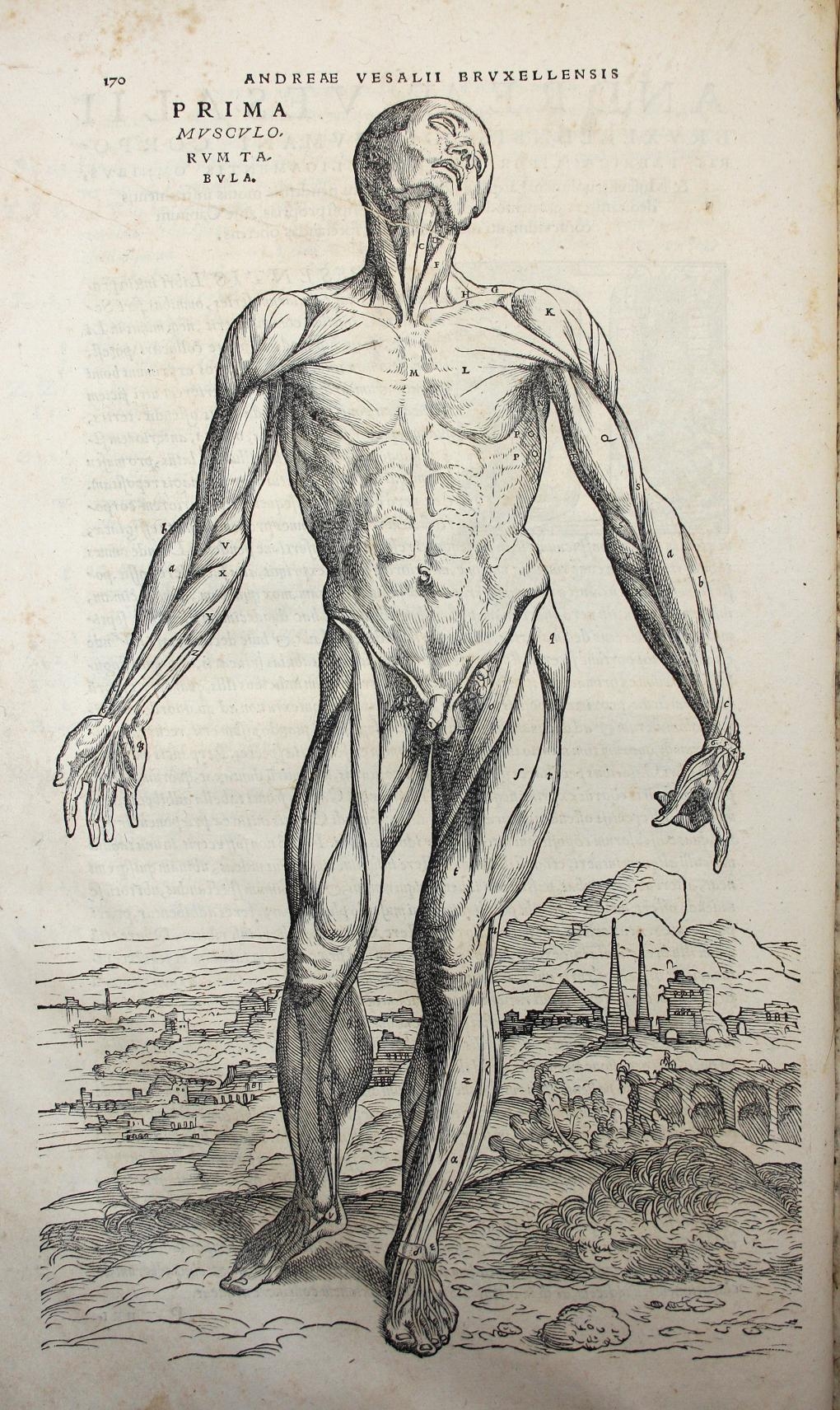 Trente minutes avec… les médecins de la Renaissance