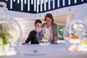 L’atelier de l’apprenti sommelier