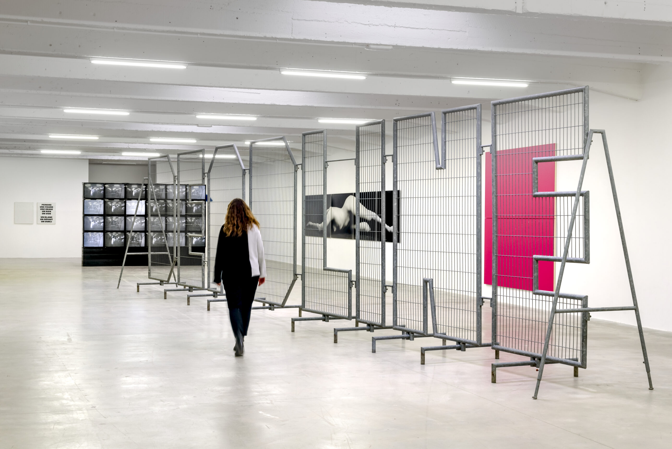 Visite en LSF des expositions « Abstraction excentrique » et « Swiss Tonic »