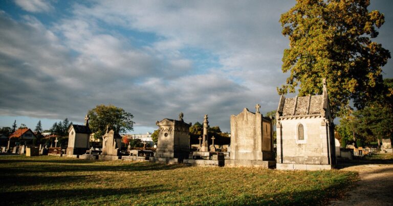 Focus : Le cimetière des Péjoces
