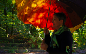 Lancement de la biennale d&rsquo;art singulier au cinéma l&rsquo;Eldorado !