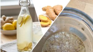 Réalisation d’une boisson fermentée : la Ginger Beer