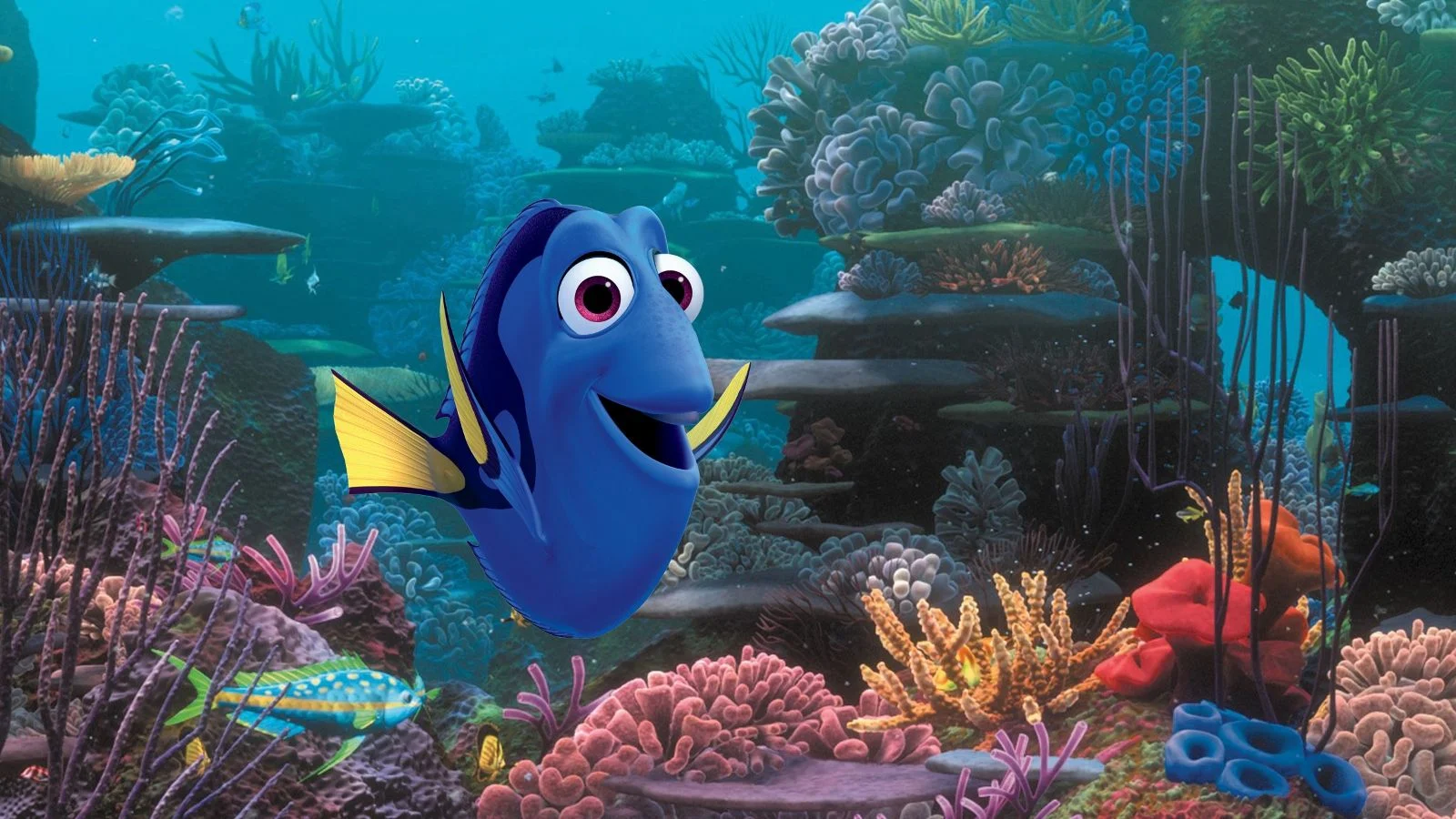 Ciné-Piscine – Le Monde de Dory – Jour de Fête à Fontaine d&rsquo;Ouche